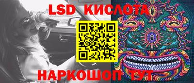 ГАЛЛЮЦИНОГЕННЫЕ ГРИБЫ Шебекино